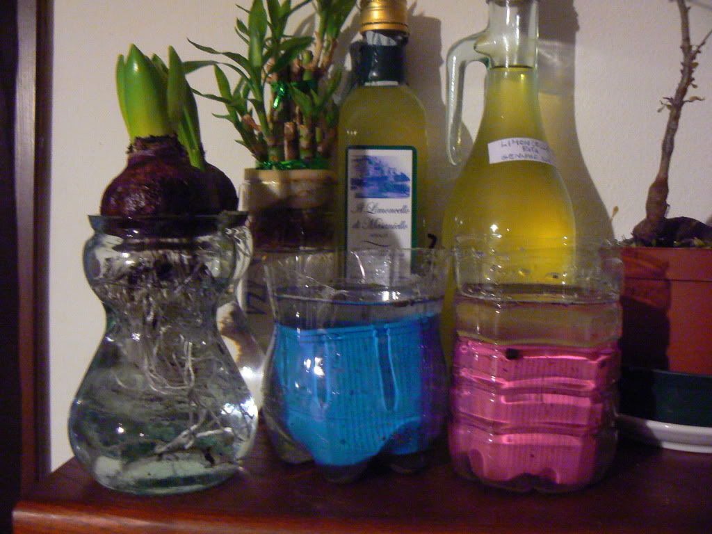 P1080744.jpg
