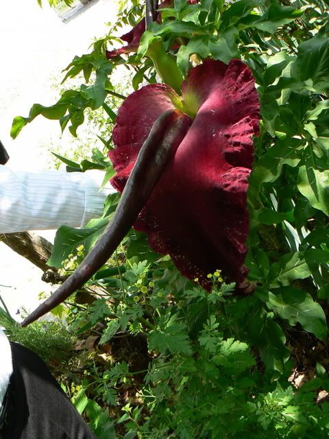 P1120701.jpg