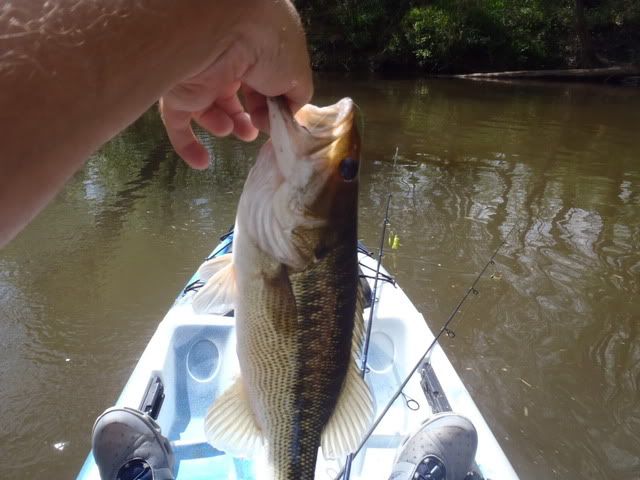 Tallapoosa River Guide Report 4/3/2012 | GON Forum