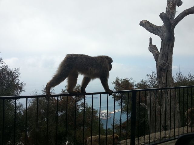 20120715_150342.jpg