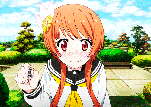 Forum Image: http://i1140.photobucket.com/albums/n566/Lookynyan/Nisekoi2-Episode1-Omake-13_zpsdvb76lpq.gif