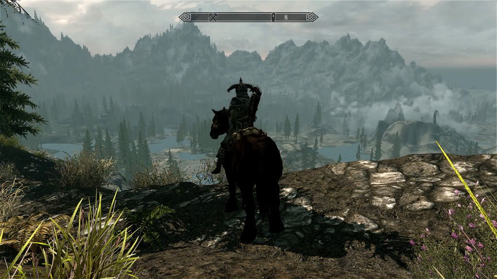 shadow.jpg
