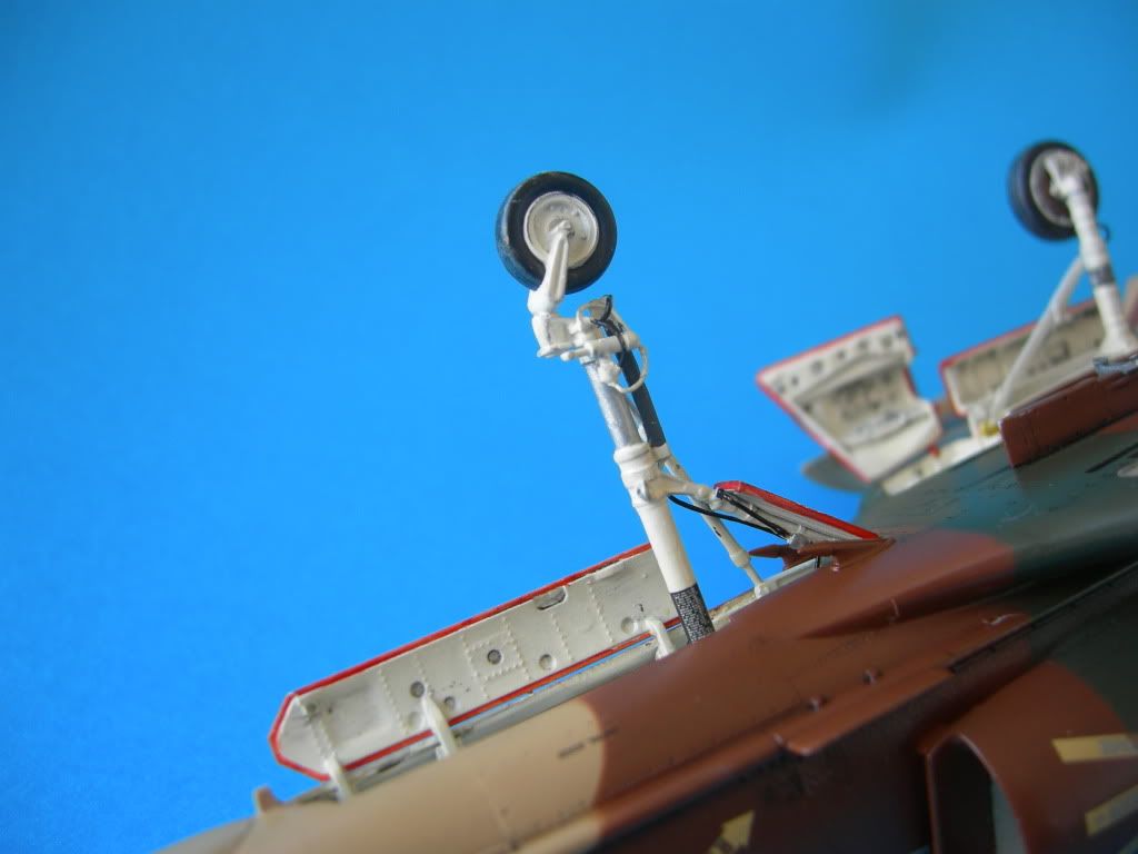 DSCN3673.jpg