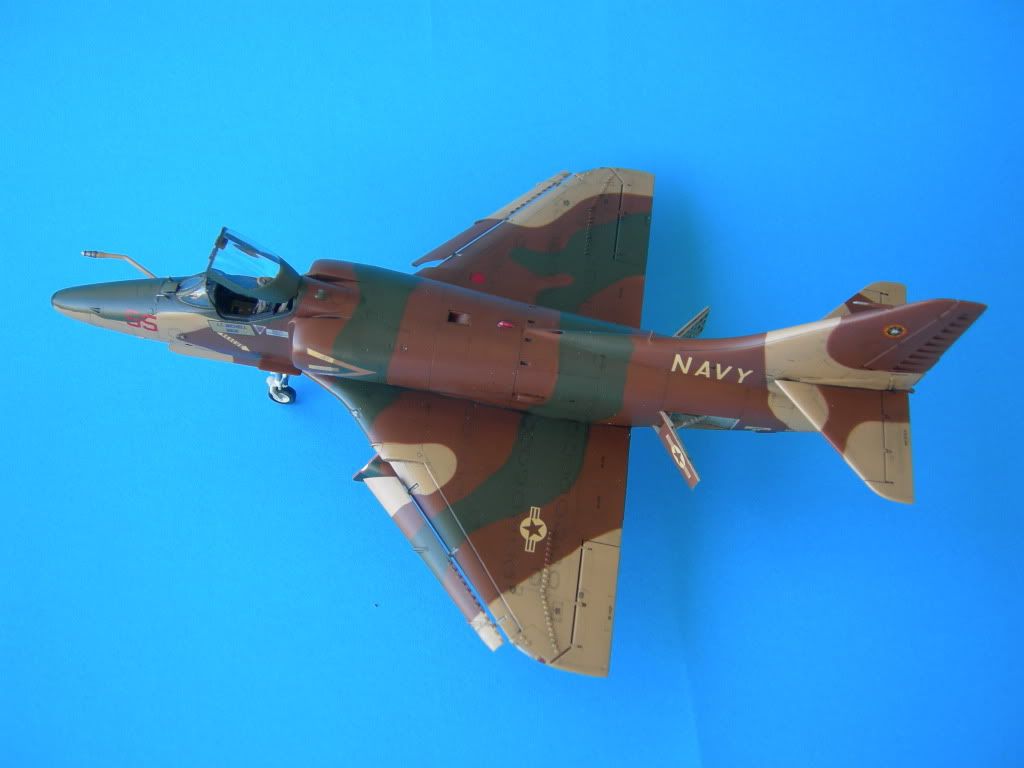 DSCN3690.jpg