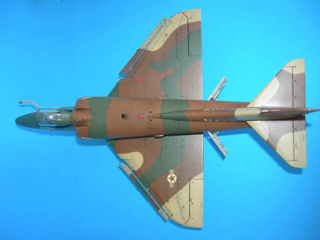 DSCN3695.jpg