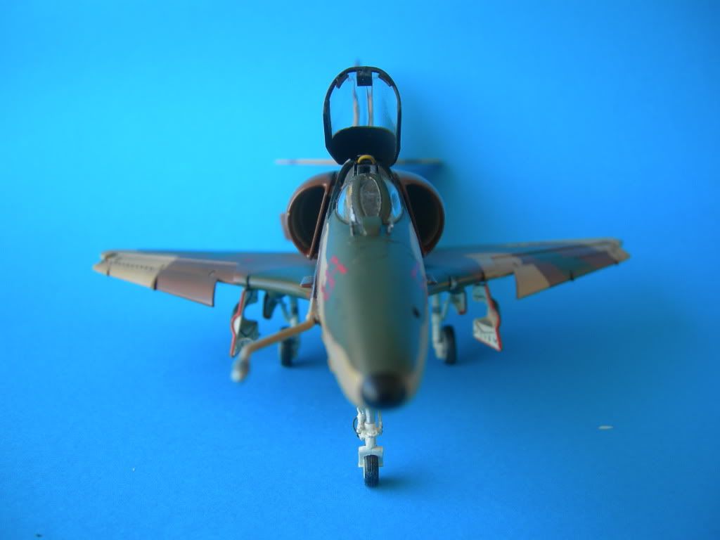 DSCN3702.jpg