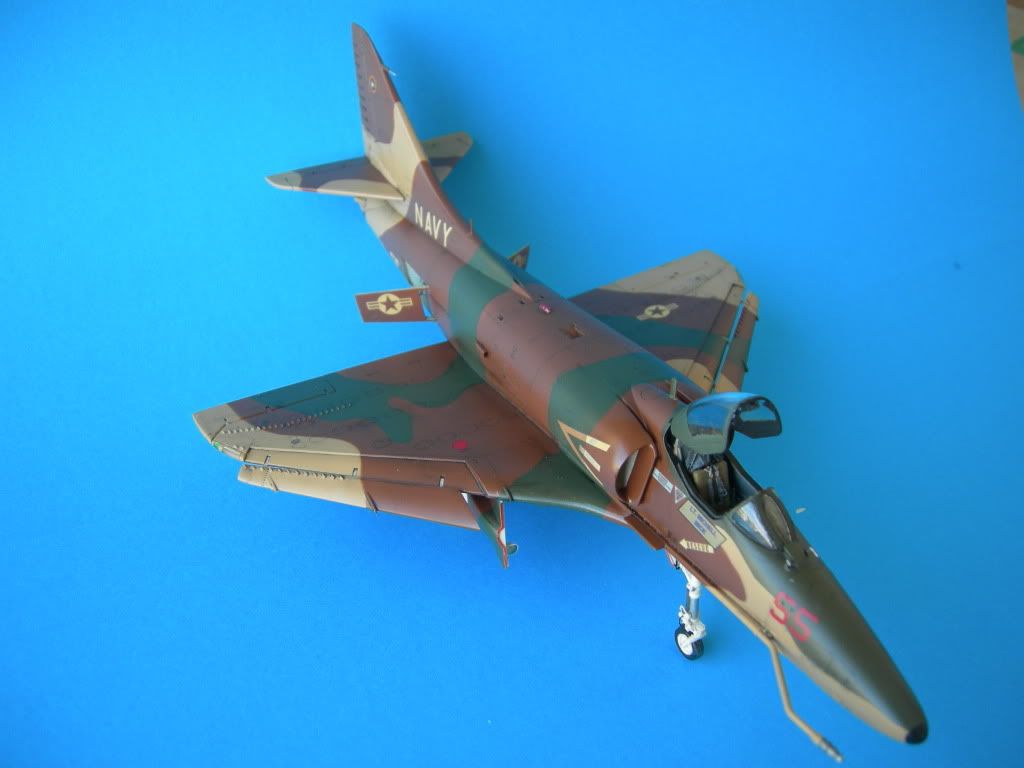 DSCN3703.jpg