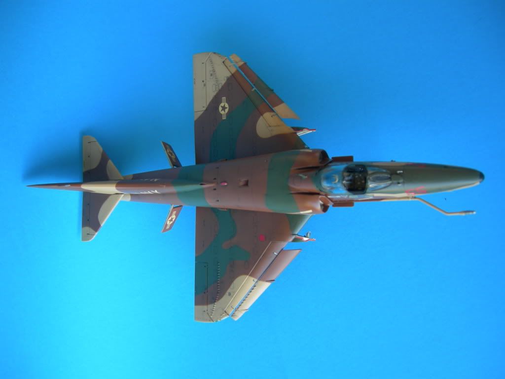DSCN3723.jpg