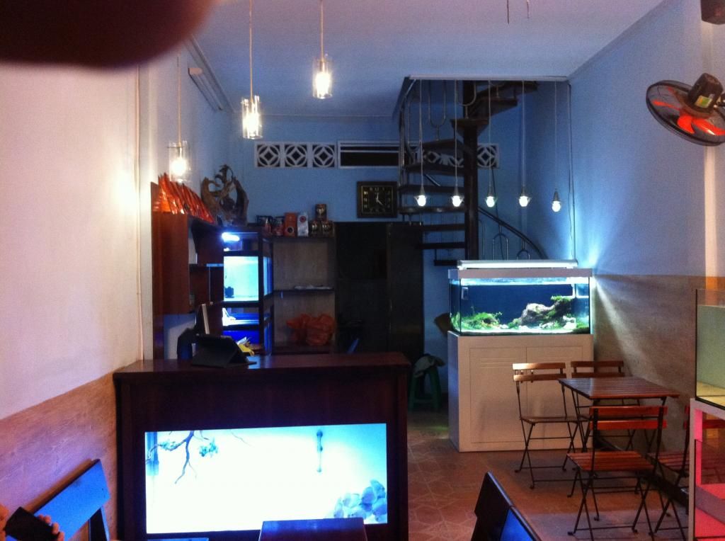 Gò Vấp-Cần bán bàn ghế, tủ kệ quán cafe...