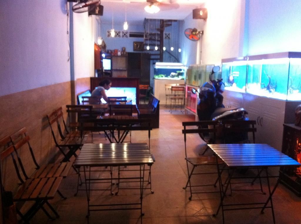 Gò Vấp-Cần bán bàn ghế, tủ kệ quán cafe... - 1