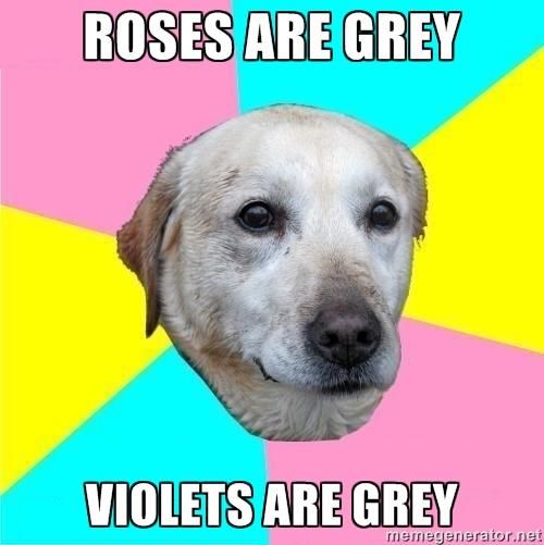 dog.jpg