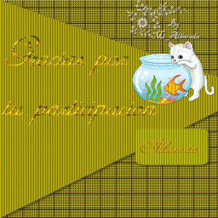 gracias participacion