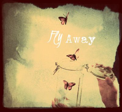 butterflies-butterfly-flying-free-freedom.jpg
