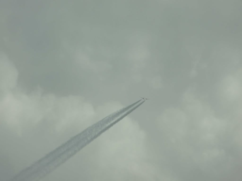 DSC00047.jpg