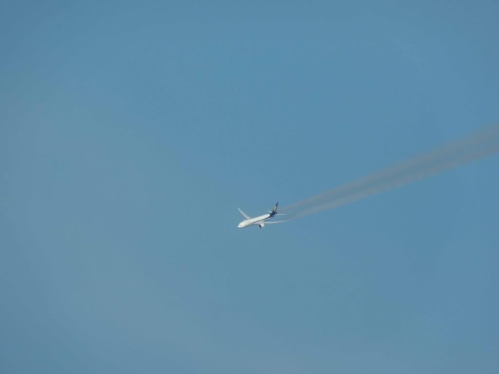 DSC00050.jpg