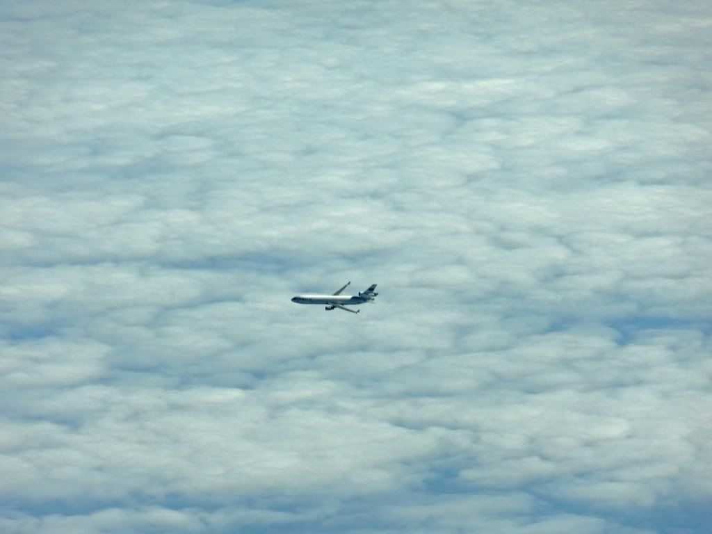 DSC00499.jpg