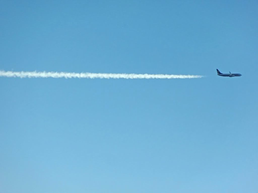 DSC00504.jpg