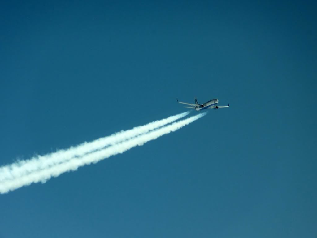 DSC00515.jpg
