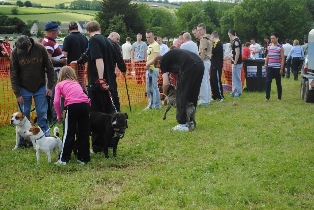 Fermoycofair028.jpg