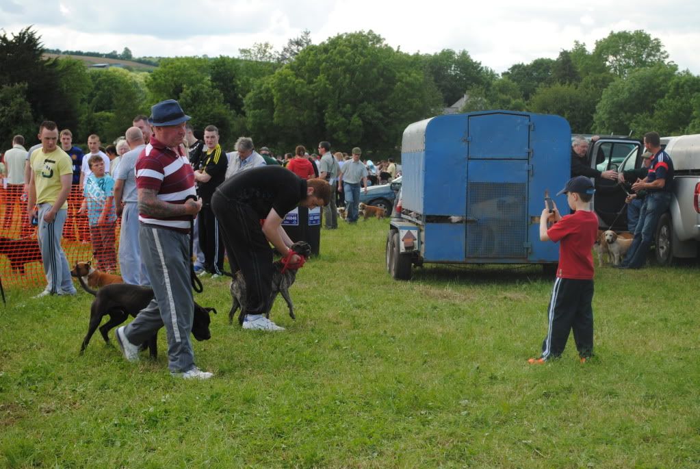 Fermoycofair029.jpg