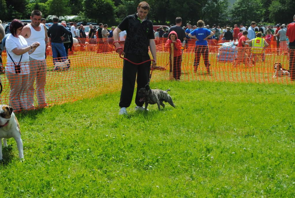 Fermoycofair038.jpg