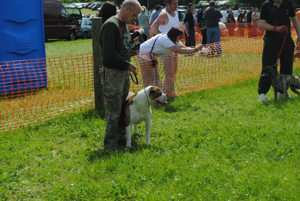 Fermoycofair039.jpg