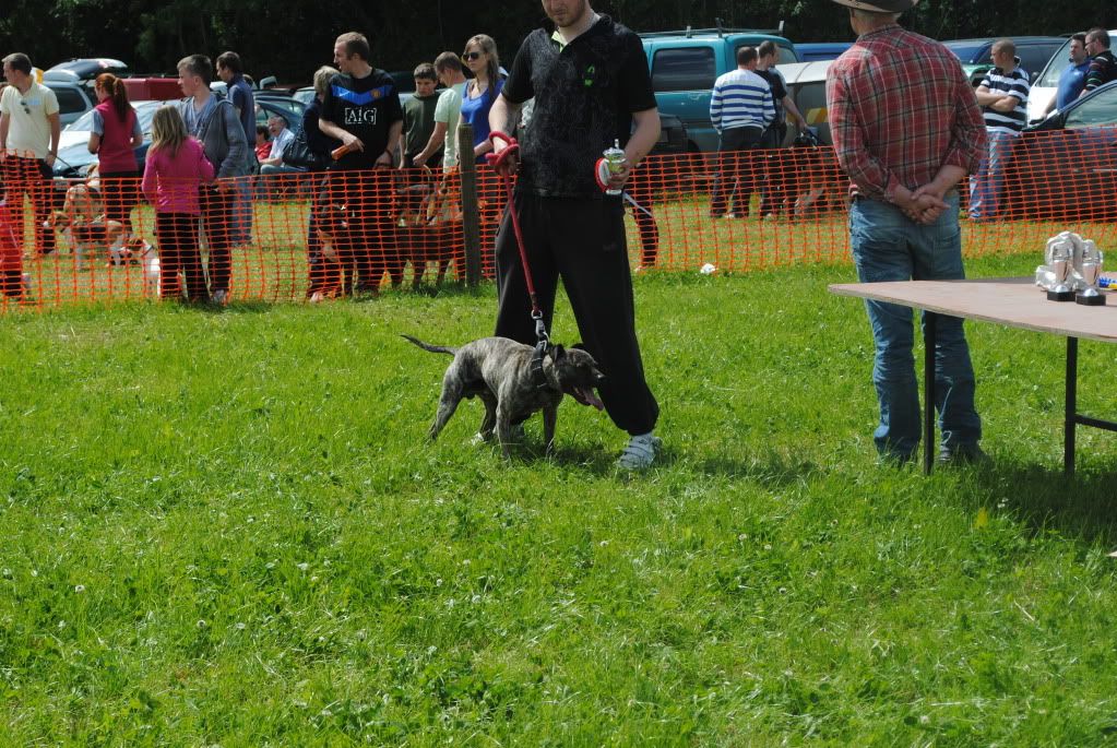 Fermoycofair046.jpg