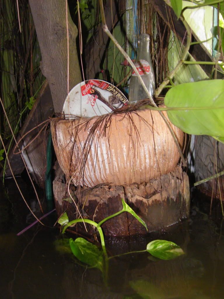 รูปภาพ