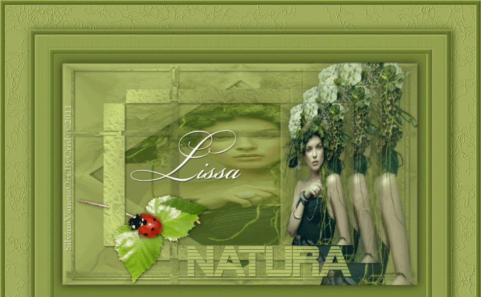 NATURA3LISSA.gif 