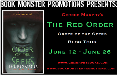  photo THEREDORDERTourbanner_zps1eaab6b0.png