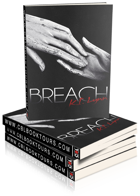  photo breach-book-stack_zps670f8491.png