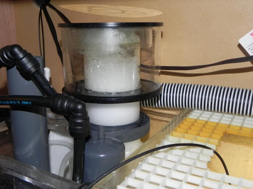 skimmer q a thread