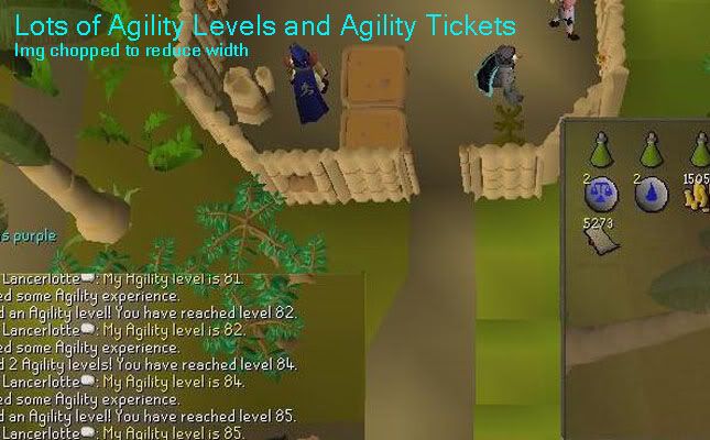 85Agility and 5k Tickets
