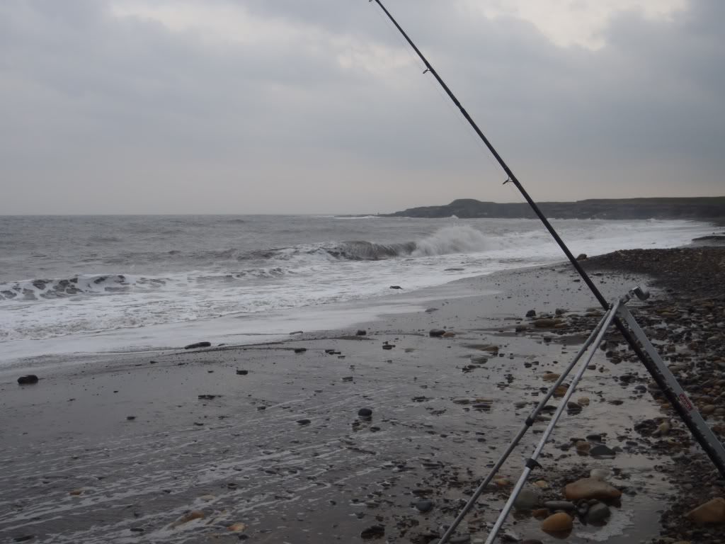 PA230254.jpg