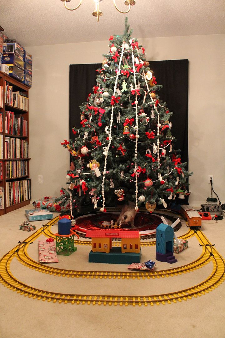 Christmas tree 2015 photo IMG_1464_zpsifrrqpeb.jpg