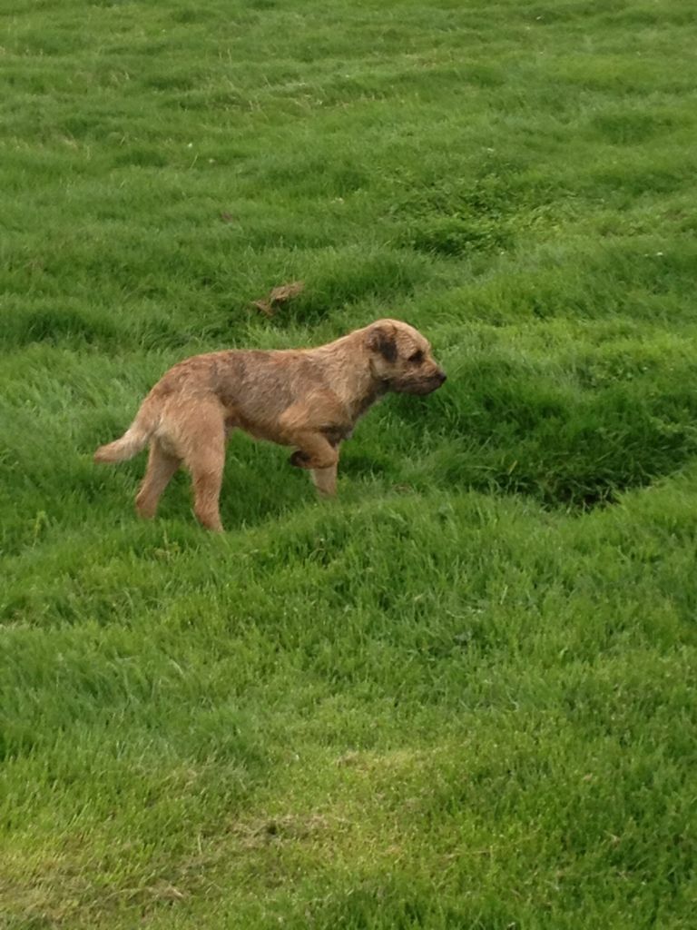 D9BC2CF4-9D51-4267-AA67-FBDE943CFCC5-335