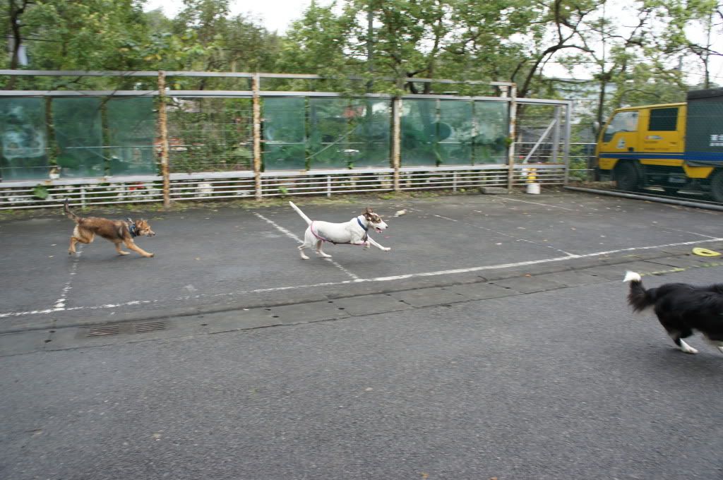 圖檔
