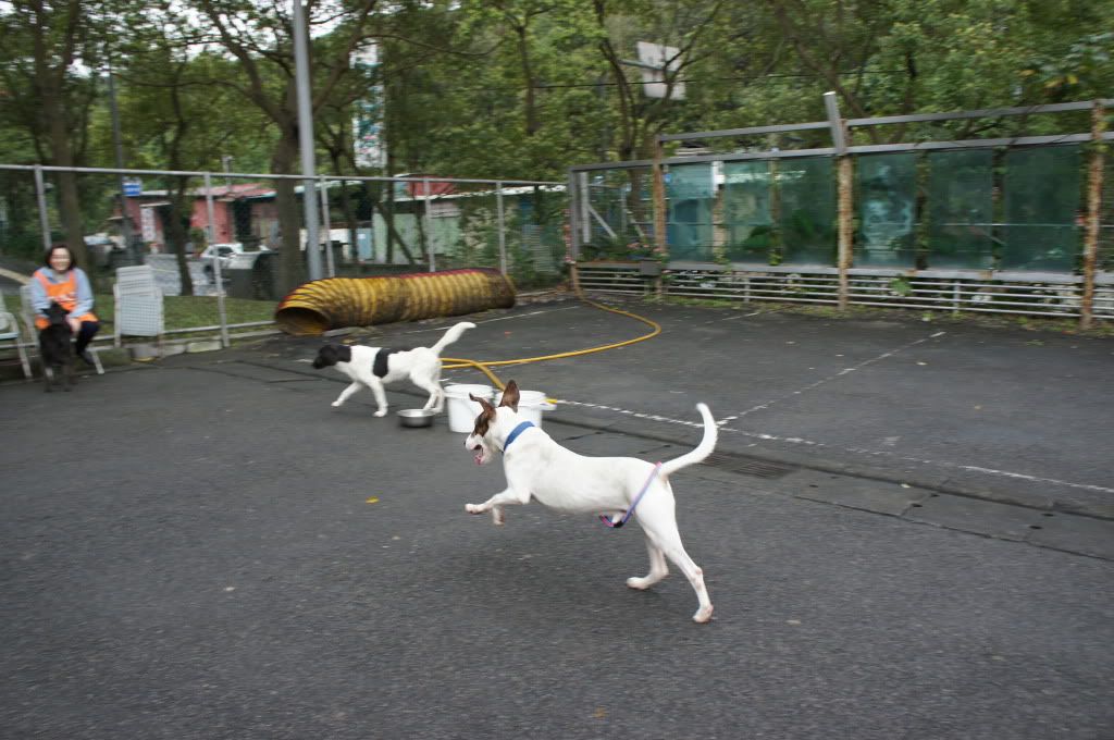 圖檔