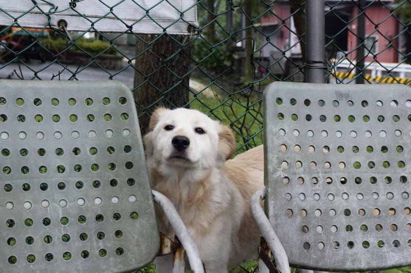 圖檔