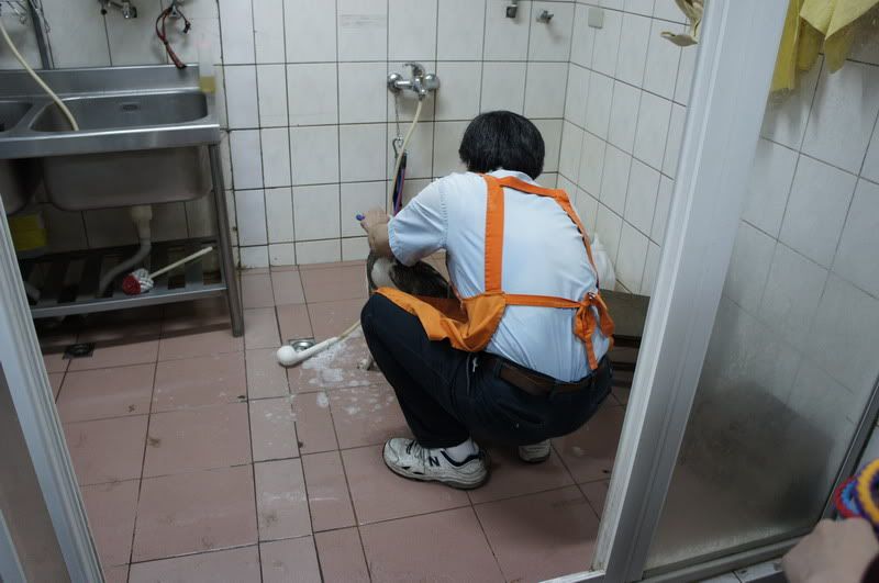 圖檔