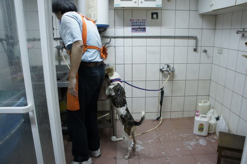 圖檔