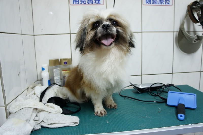 圖檔