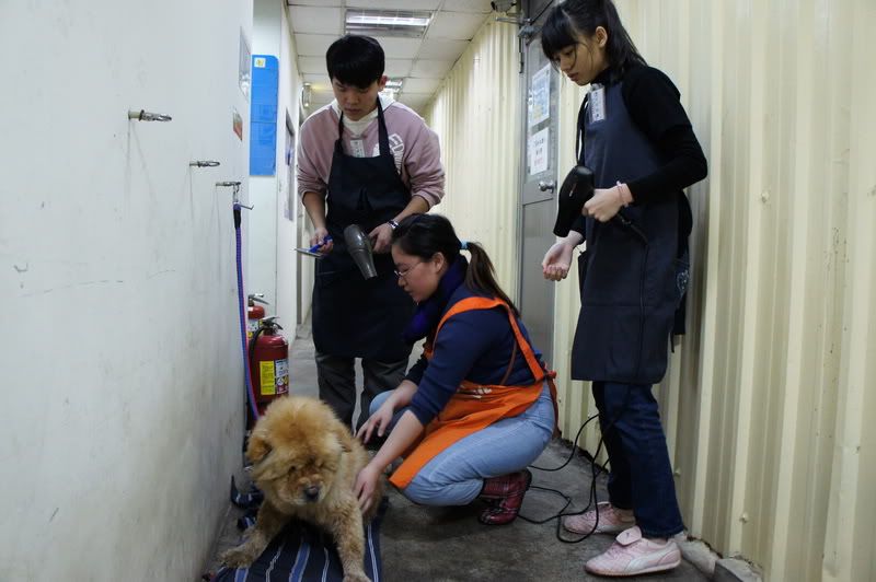 圖檔