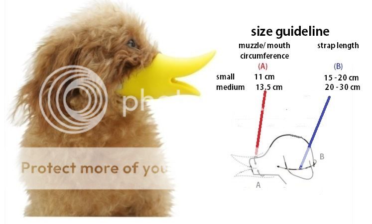 Duck Bill Dog Muzzle Anti Stop No Bark Support True Back Collar Biting Pet Leash
