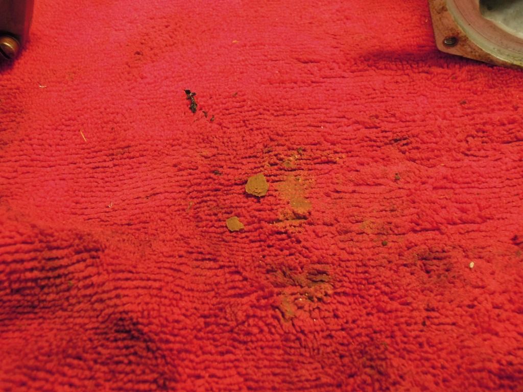 DSCN0653.jpg