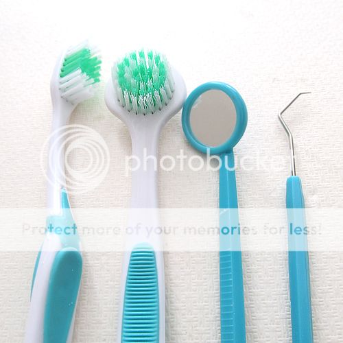8pcs Home Dental Care Clean Kit Floss Teeth Tooth Brush Mirror Stain