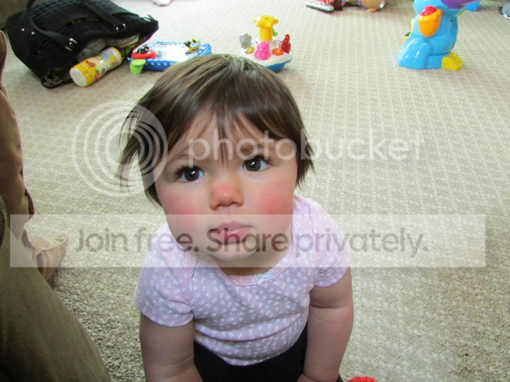photo IMG_0083_zps9d4b528f.jpg