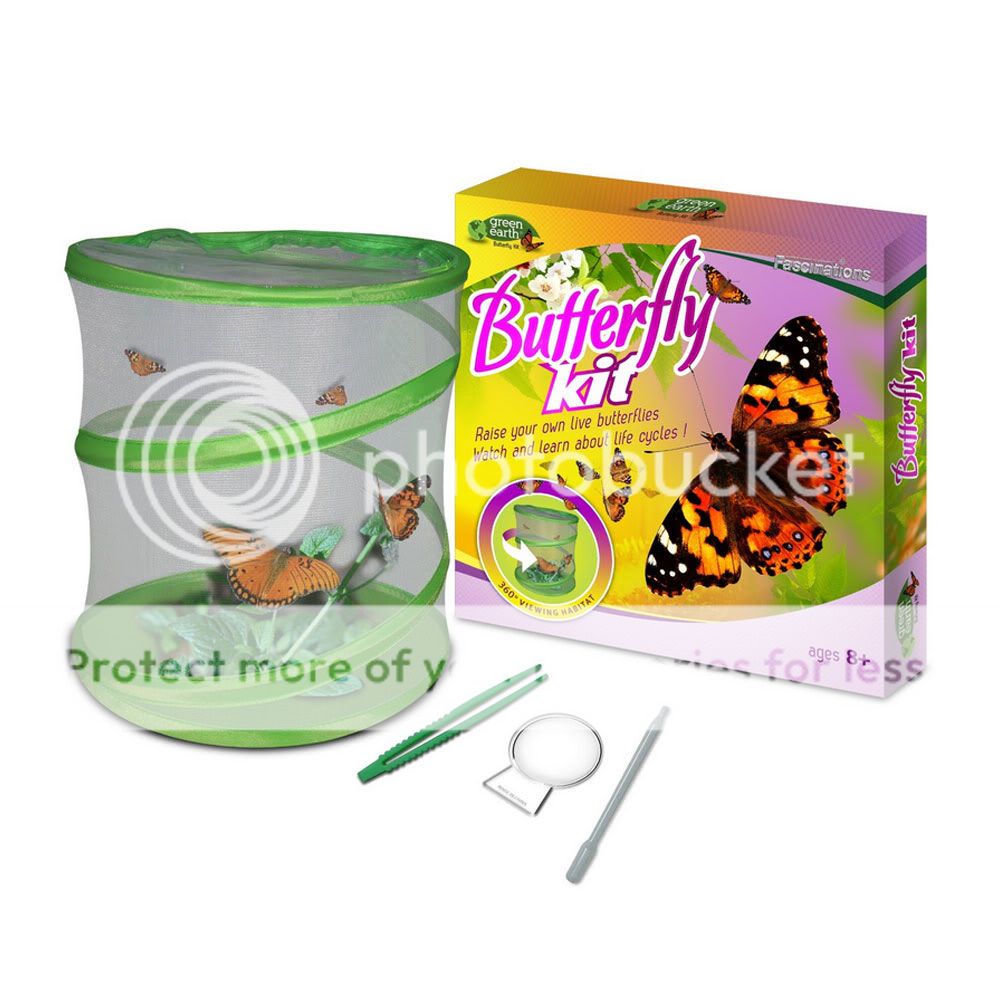 Fascinations Green Earth Butterfly Habitat Kit  